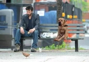 悲伤的基努里维斯