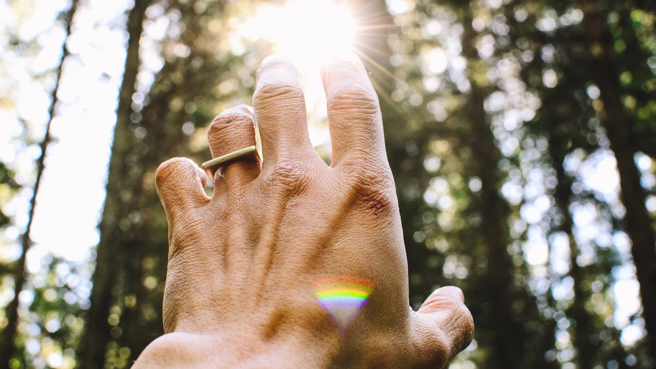 Algordanza healing quote banner